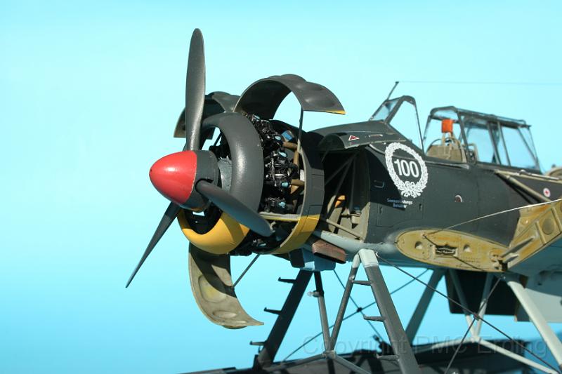 Arado Ar 196 B Revell 1-32 Höhne Andreas 11.JPG